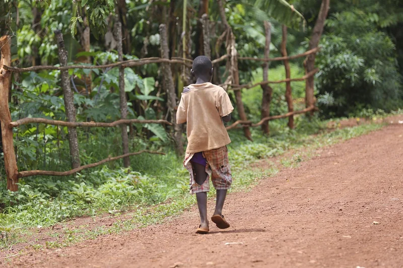 Les besoins nutritionnels des enfants : ce qui change vraiment