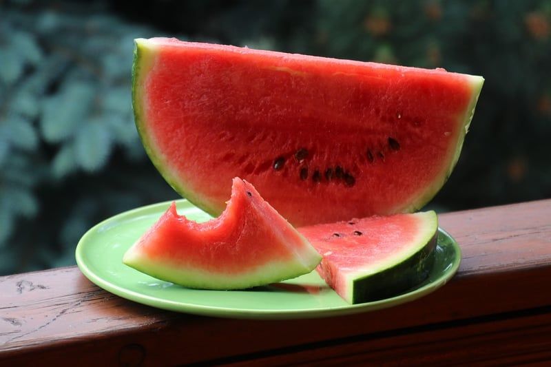 Nutrition infantile : les secrets d'une alimentation saine et équilibrée en 2026